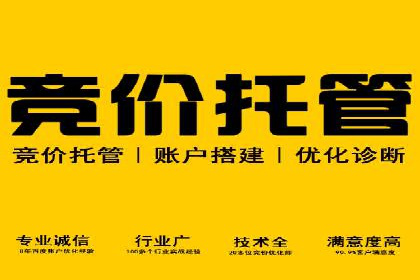 SEM竞价开户技巧：从案例中学习